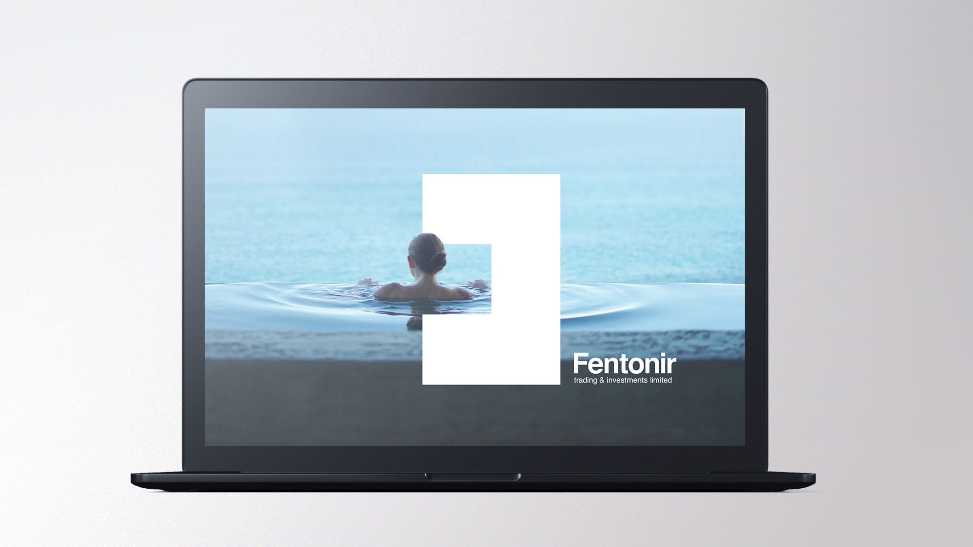 fentonir-presentation-concept-laptop-pool